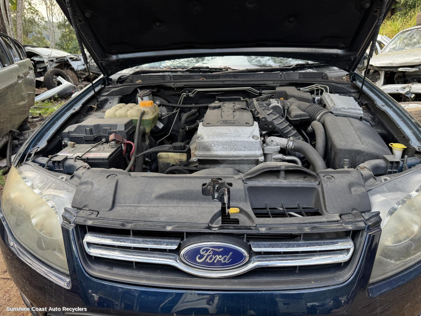2012 Ford Falcon Grille