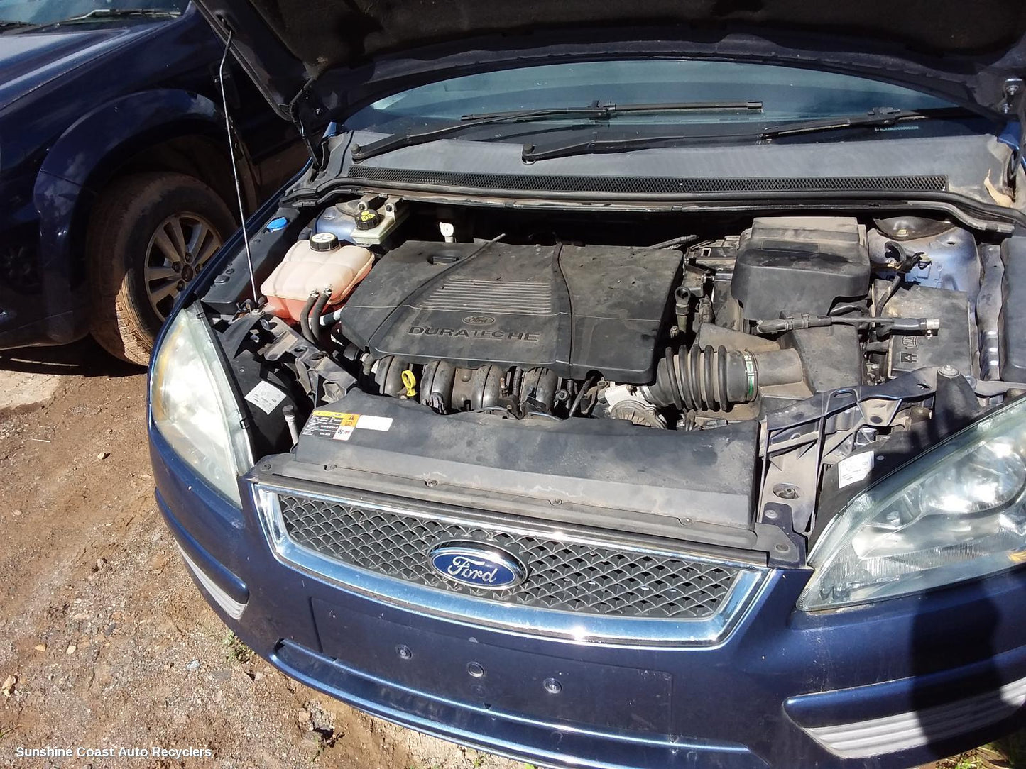 2005 Ford Focus Pwr Dr Wind Switch