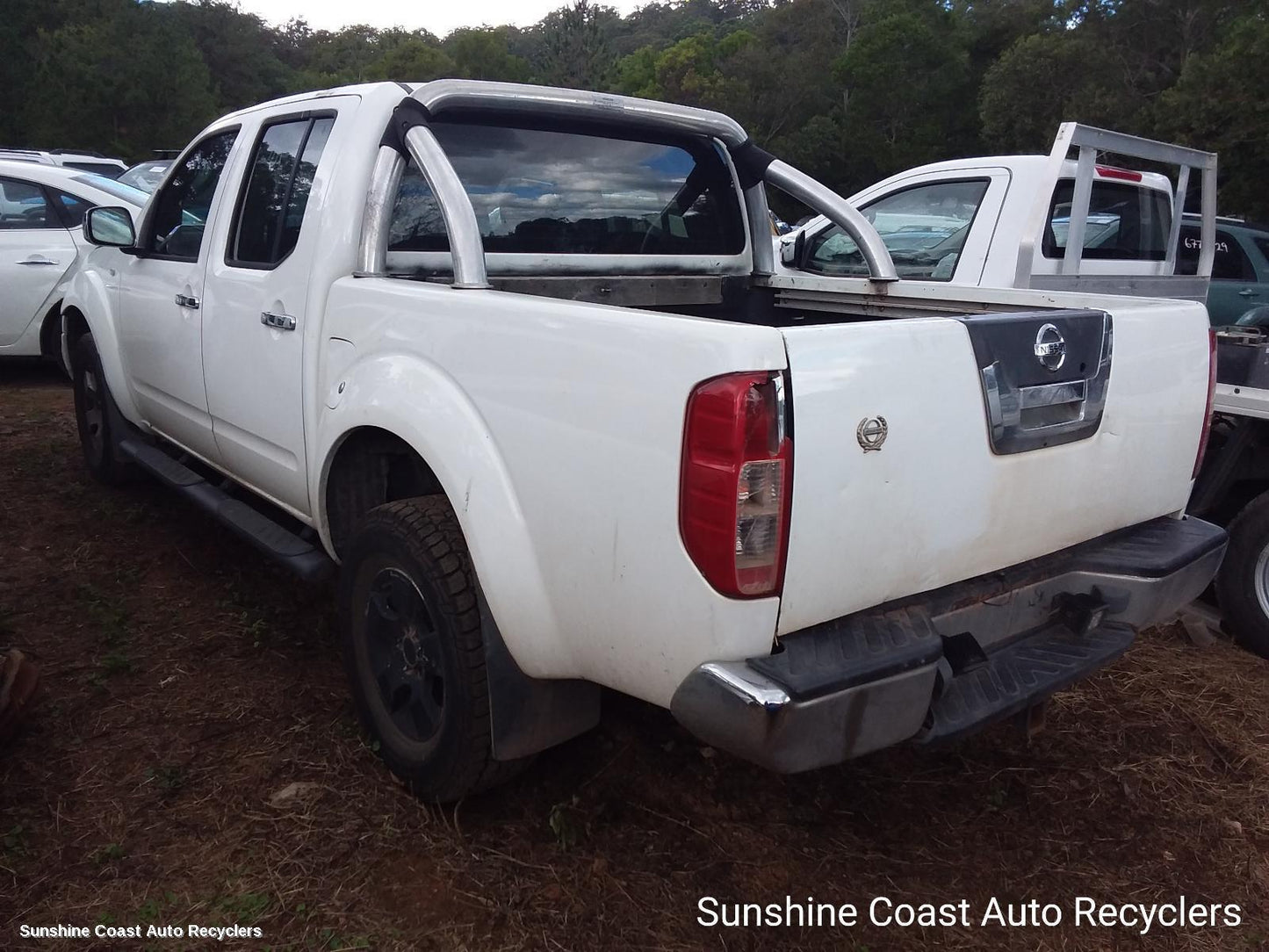 2006 Nissan Navara Steering Pump
