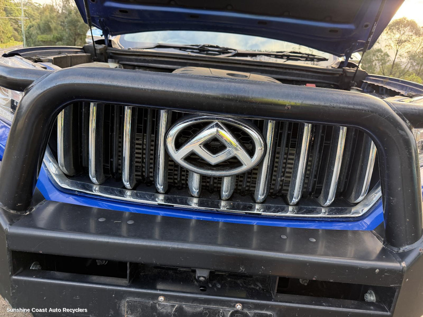 2017-2021 Ldv T60 Grille