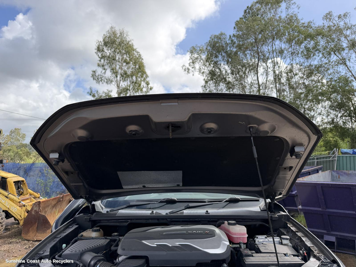 2017-2026 Ldv T60 Bonnet Hinge Strut