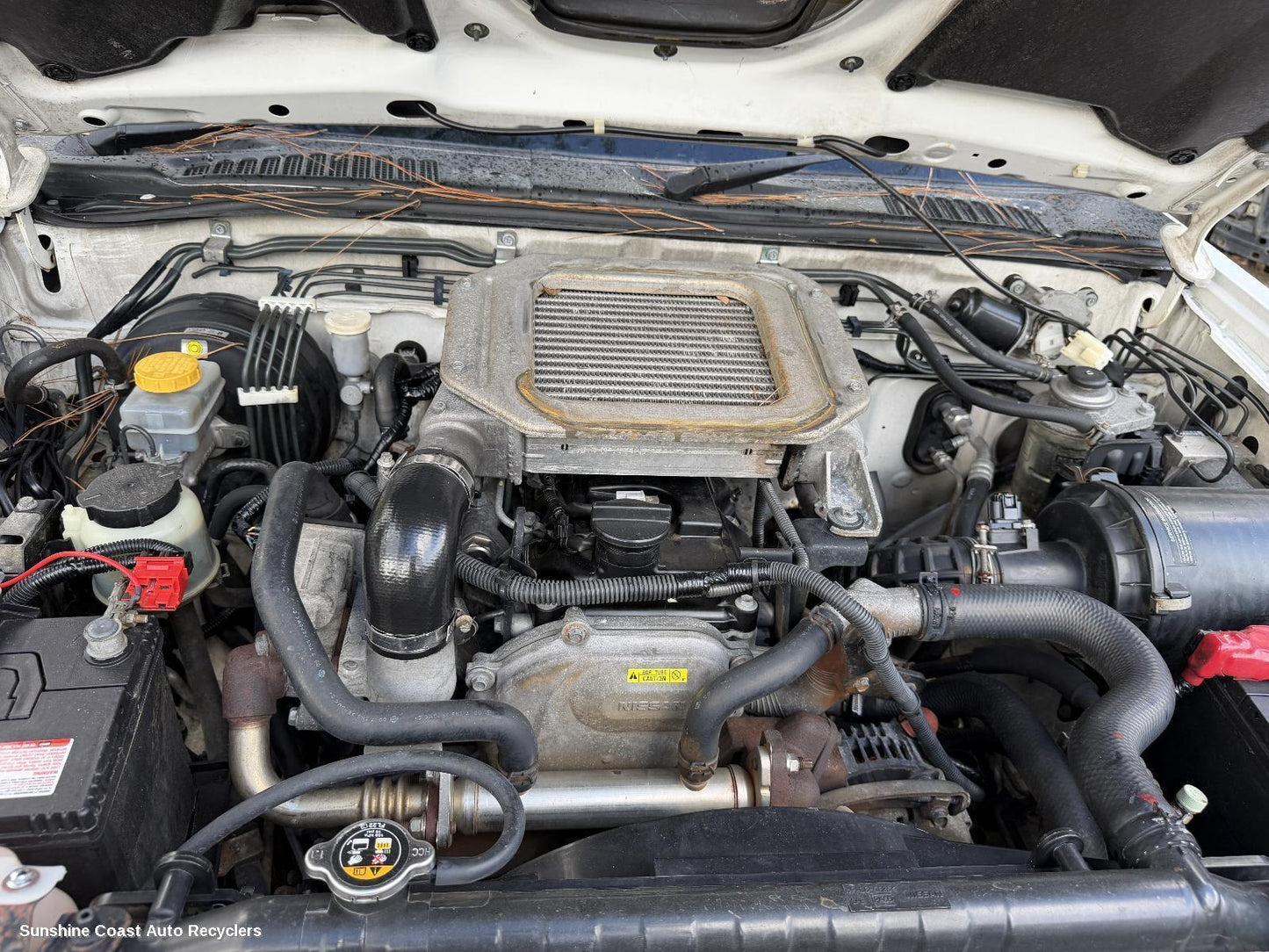 2007-2015 Nissan Navara Engine