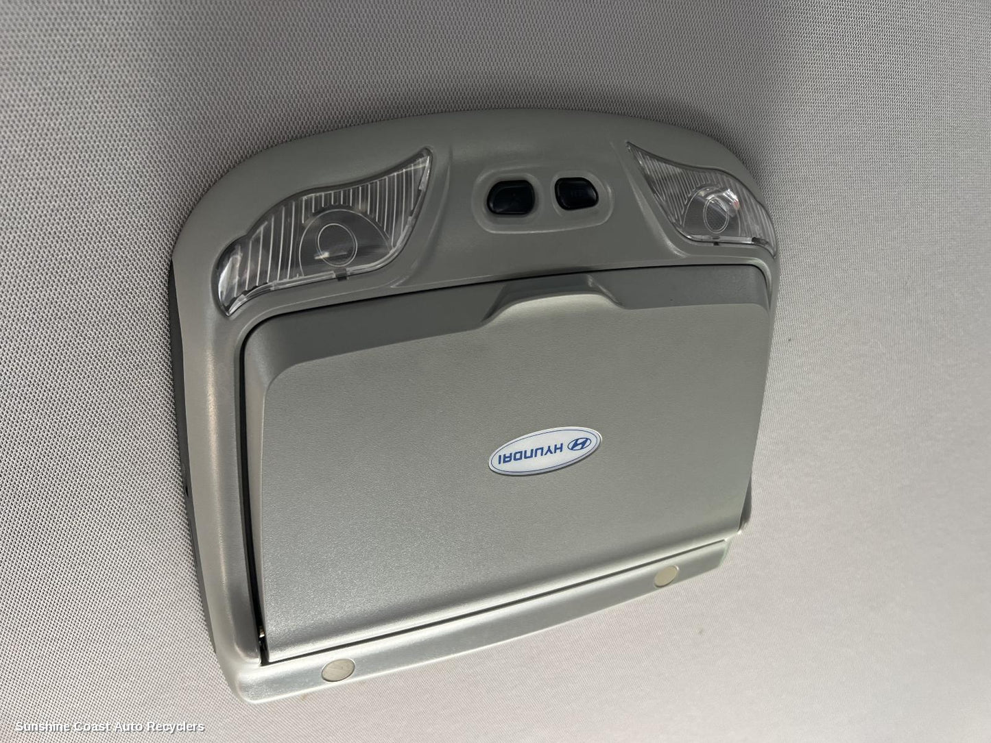 2012 Hyundai Santa Fe Courtesy Light