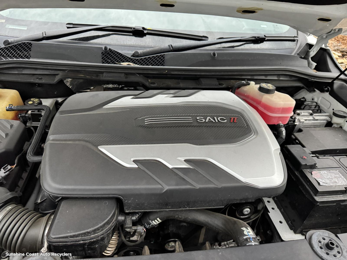 2020-2024 Ldv D90 Engine