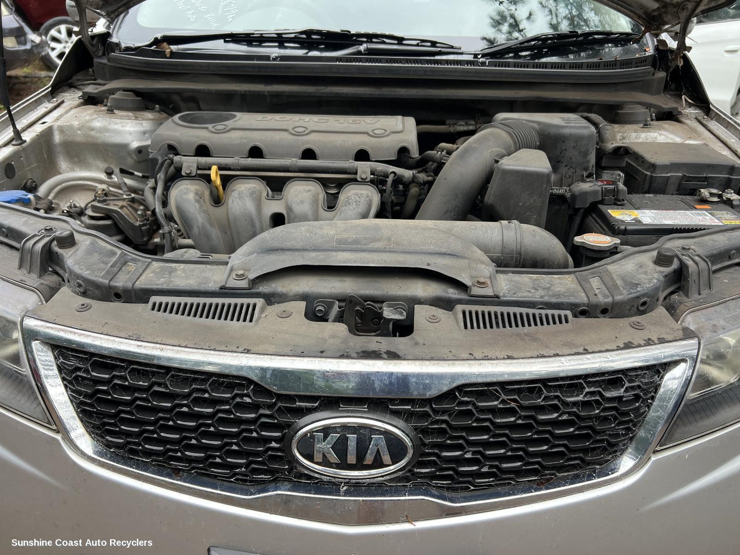 2011 Kia Cerato Grille