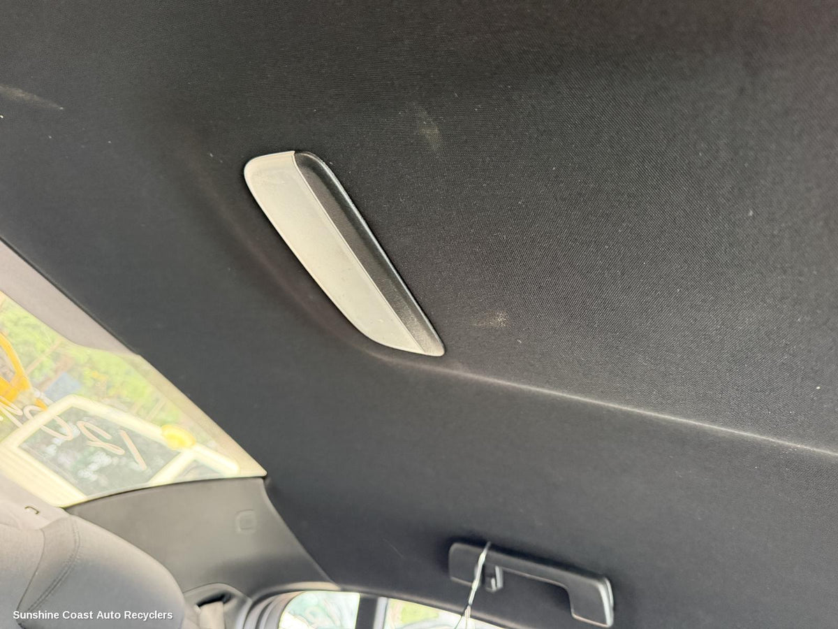 2006-2013 Holden Commodore Courtesy Light