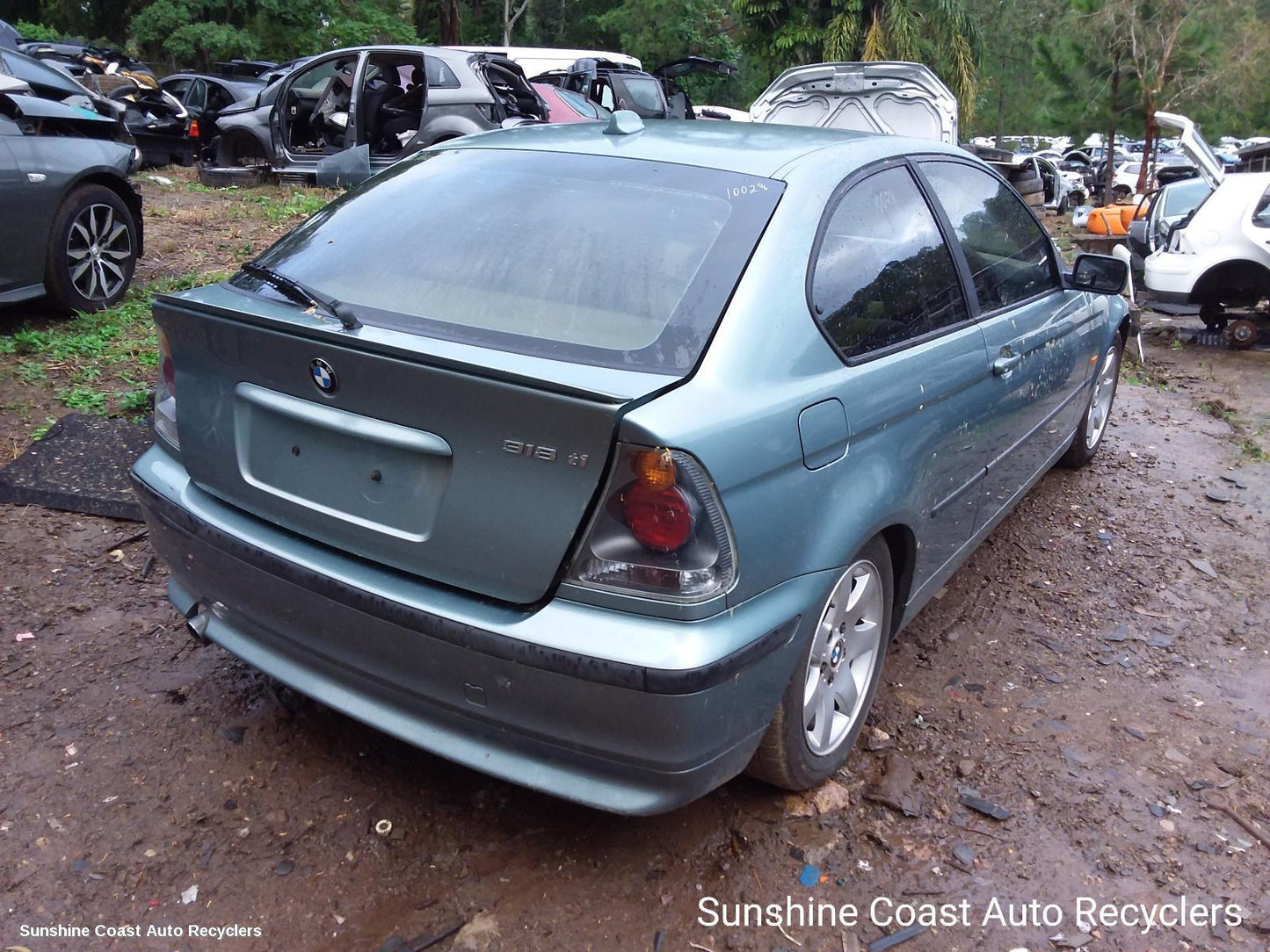 2002 Bmw 3 Series Flywheel Flexplate