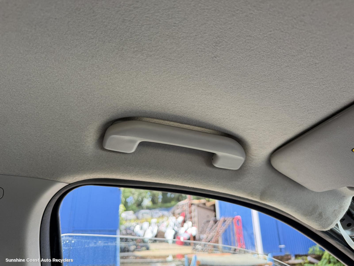 2017-2026 Ldv T60 Grab Handle