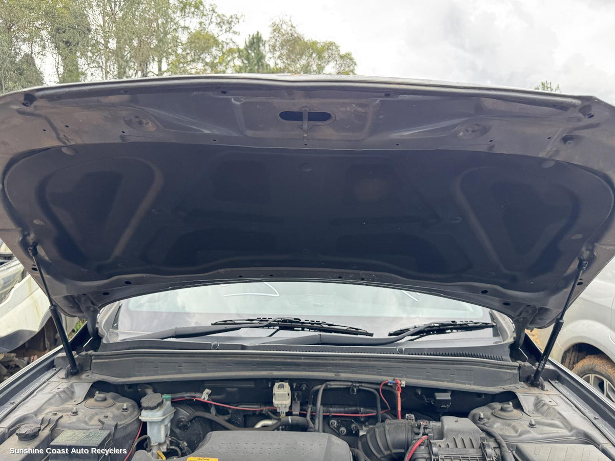 2005-2012 Hyundai Santa Fe Bonnet Hinge Strut