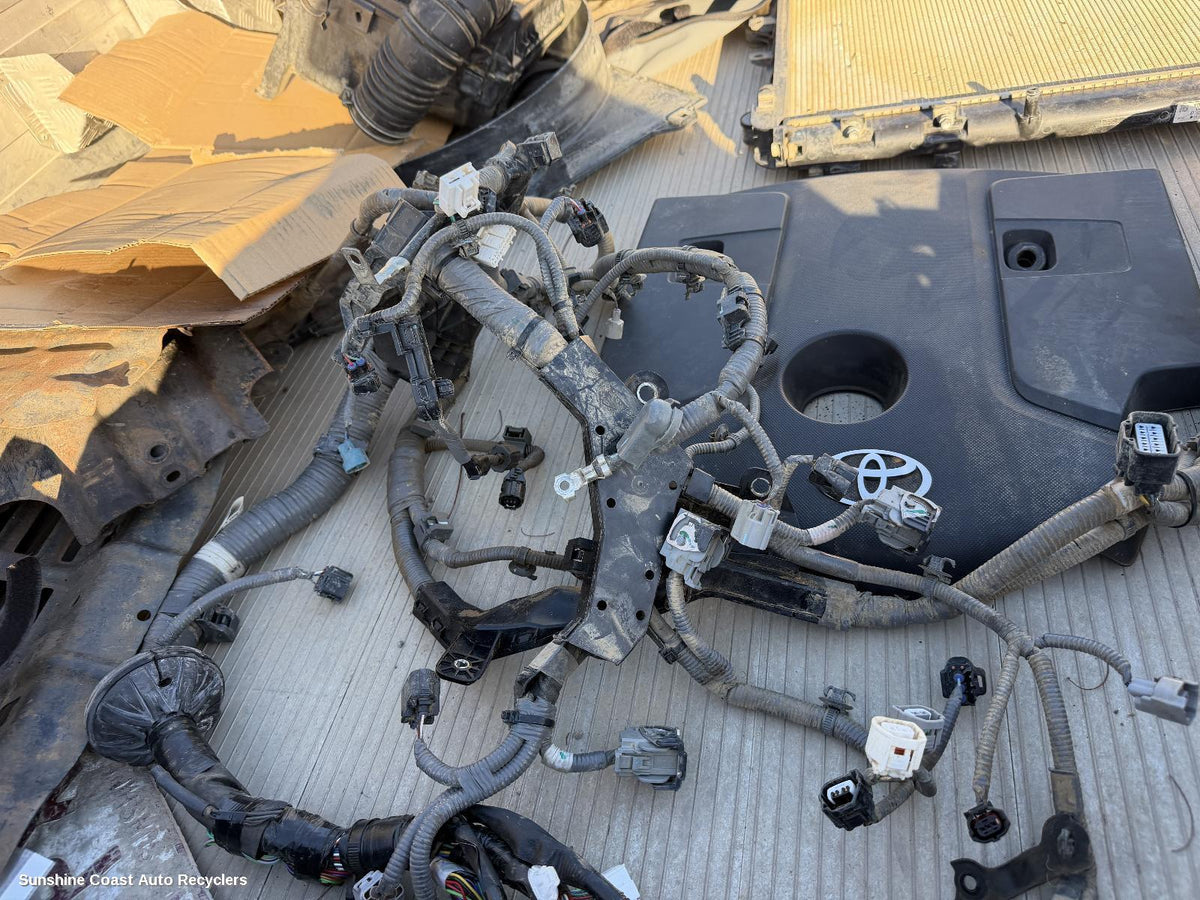 2015-2025 Toyota Hilux Wire Harness