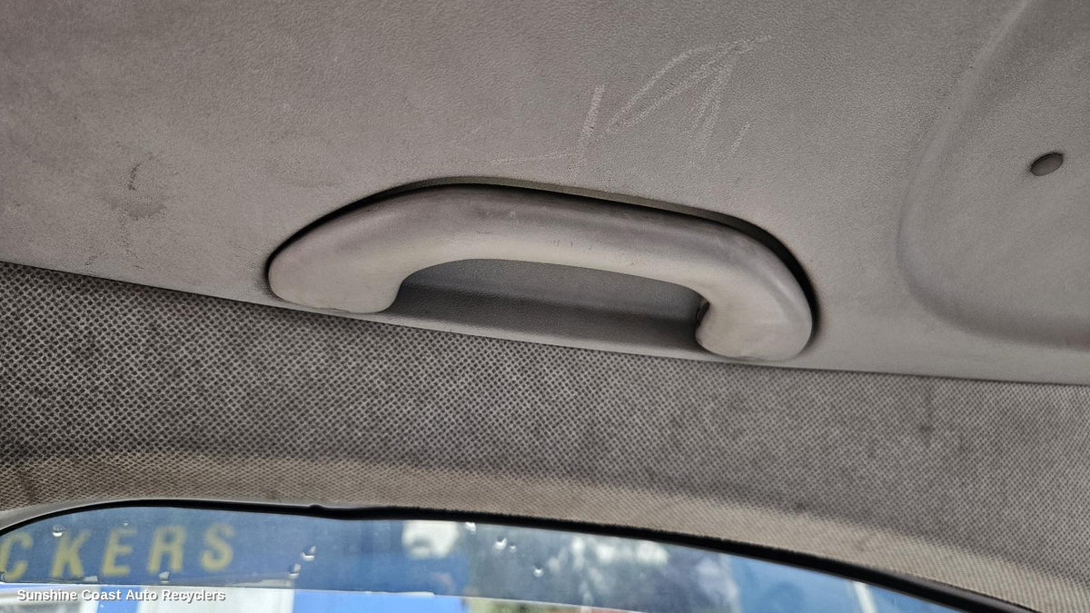 2005-2010 Volkswagen Caddy Grab Handle