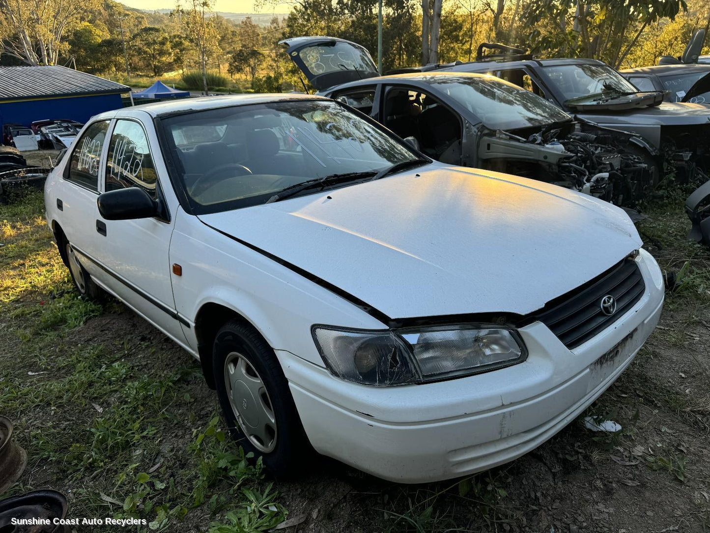 1999 Toyota Camry Right Guard Liner