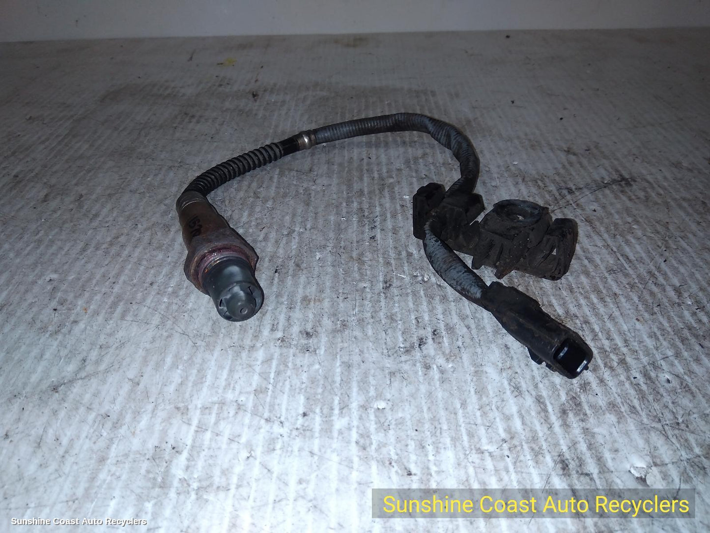 2011 Renault Kangoo Oxygen Sensor