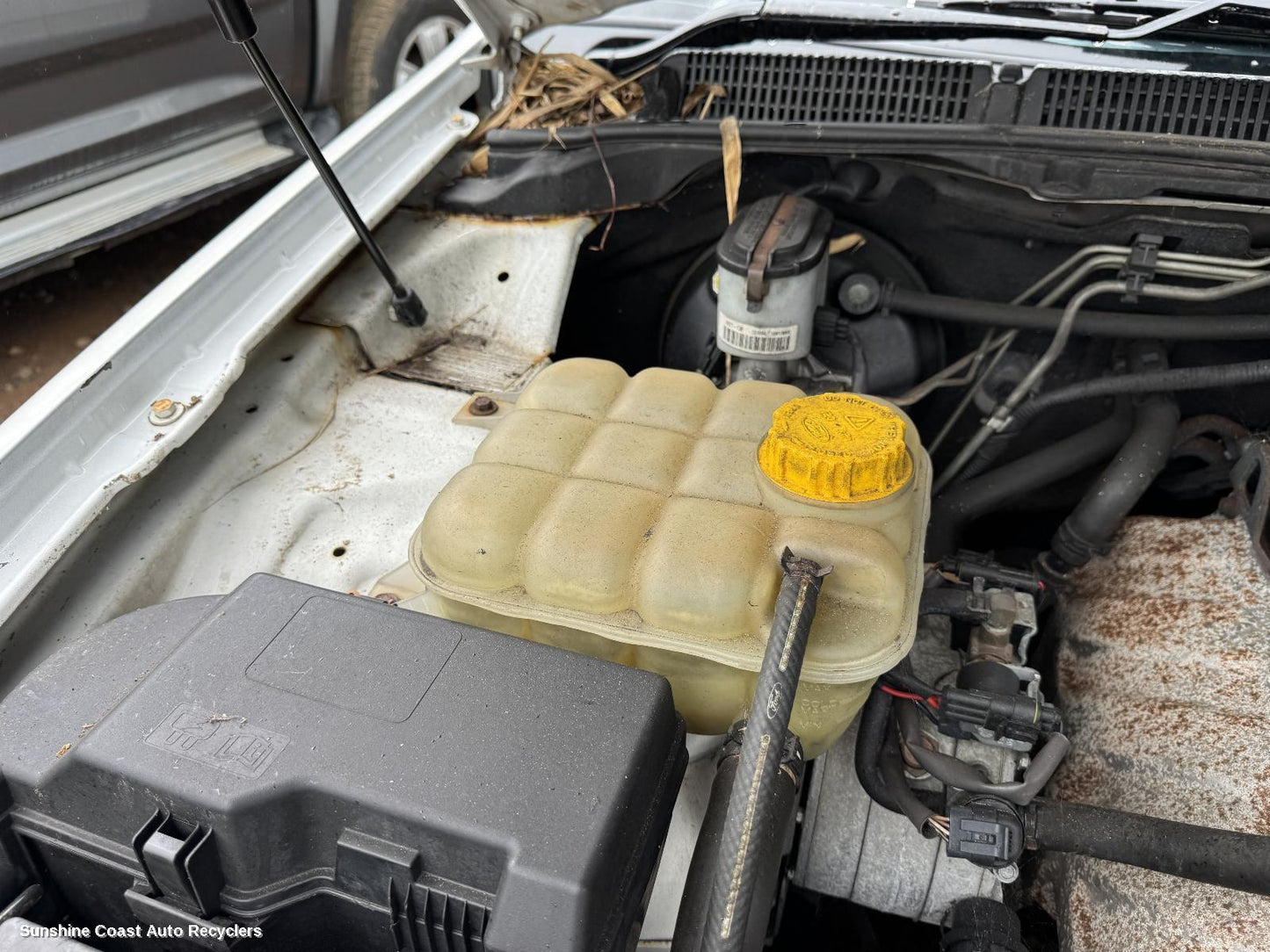 2010 Ford Falcon Overflow Bottle