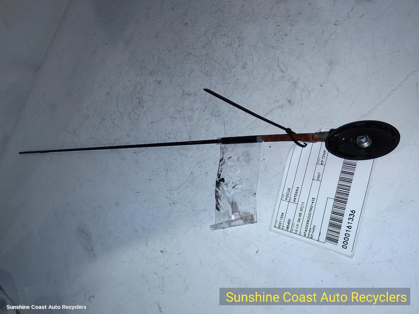 2007 Ford Focus Antenna