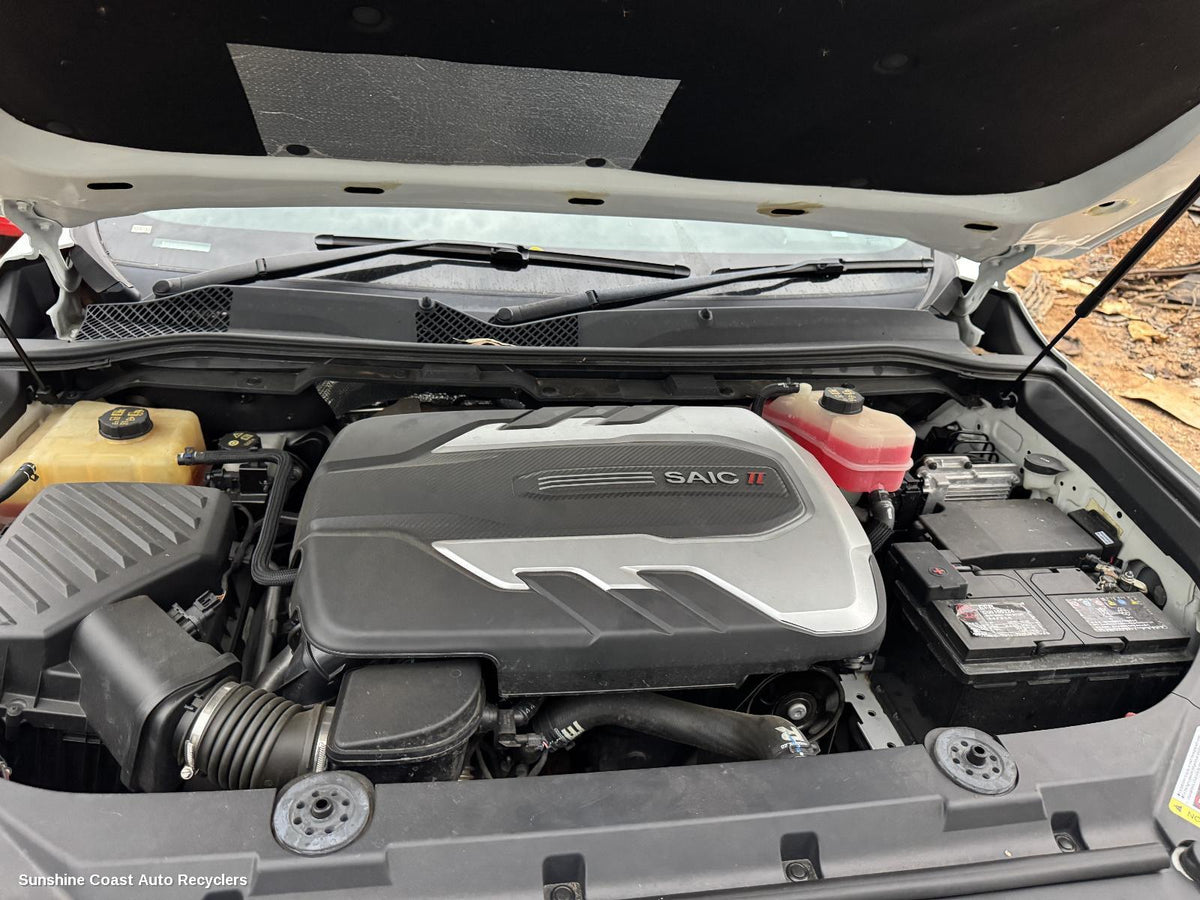2020-2024 Ldv D90 Engine