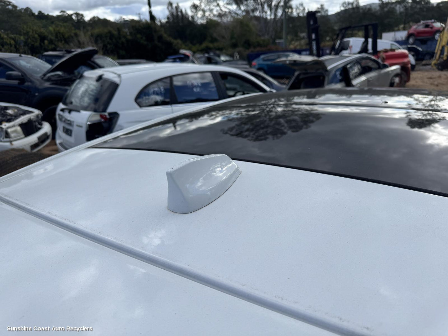 2016-2025 Jaguar F Pace Antenna