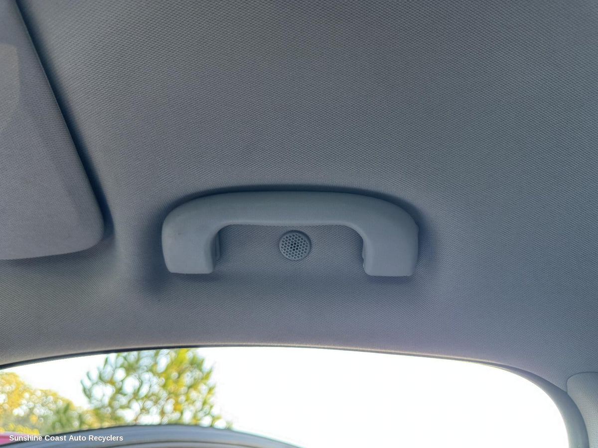 2017-2020 Holden Equinox Grab Handle
