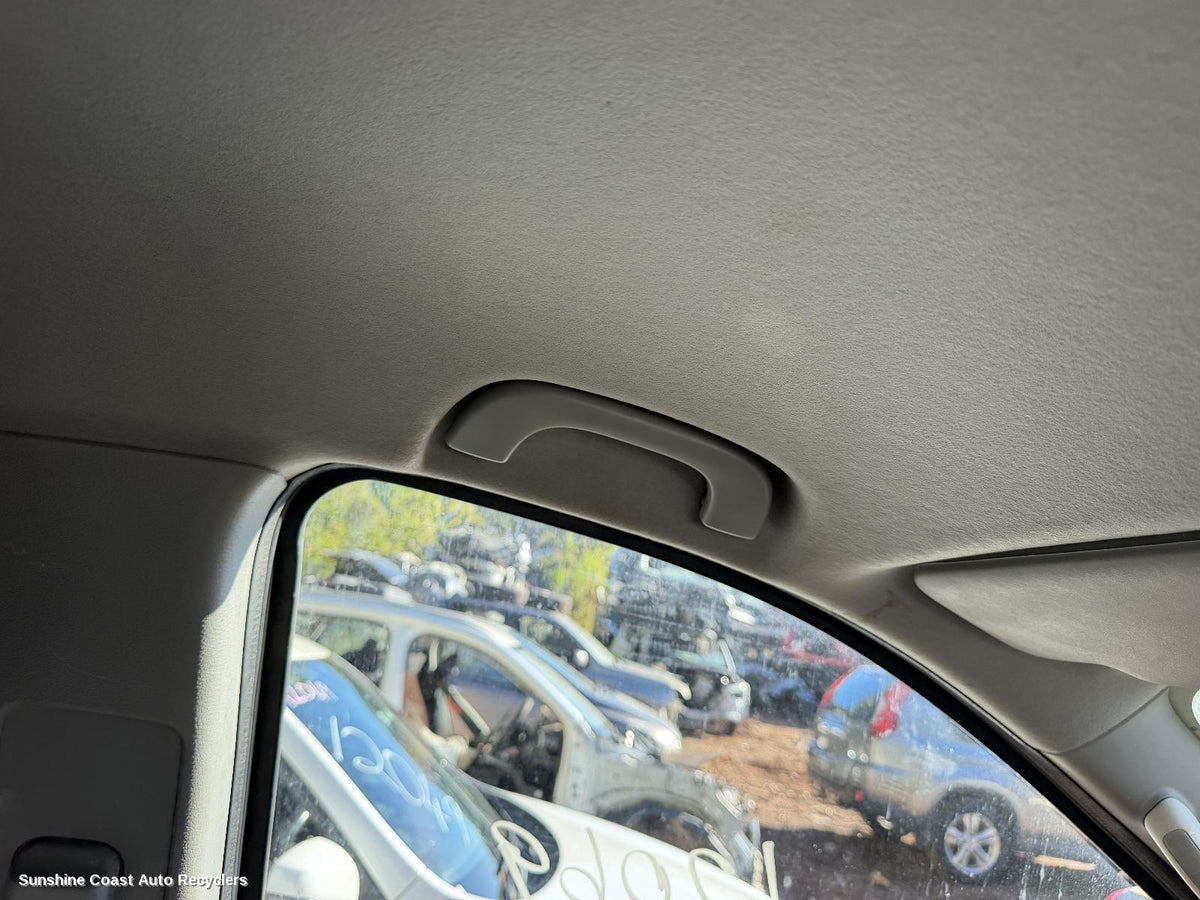 2015-2026 Ldv G10 Grab Handle