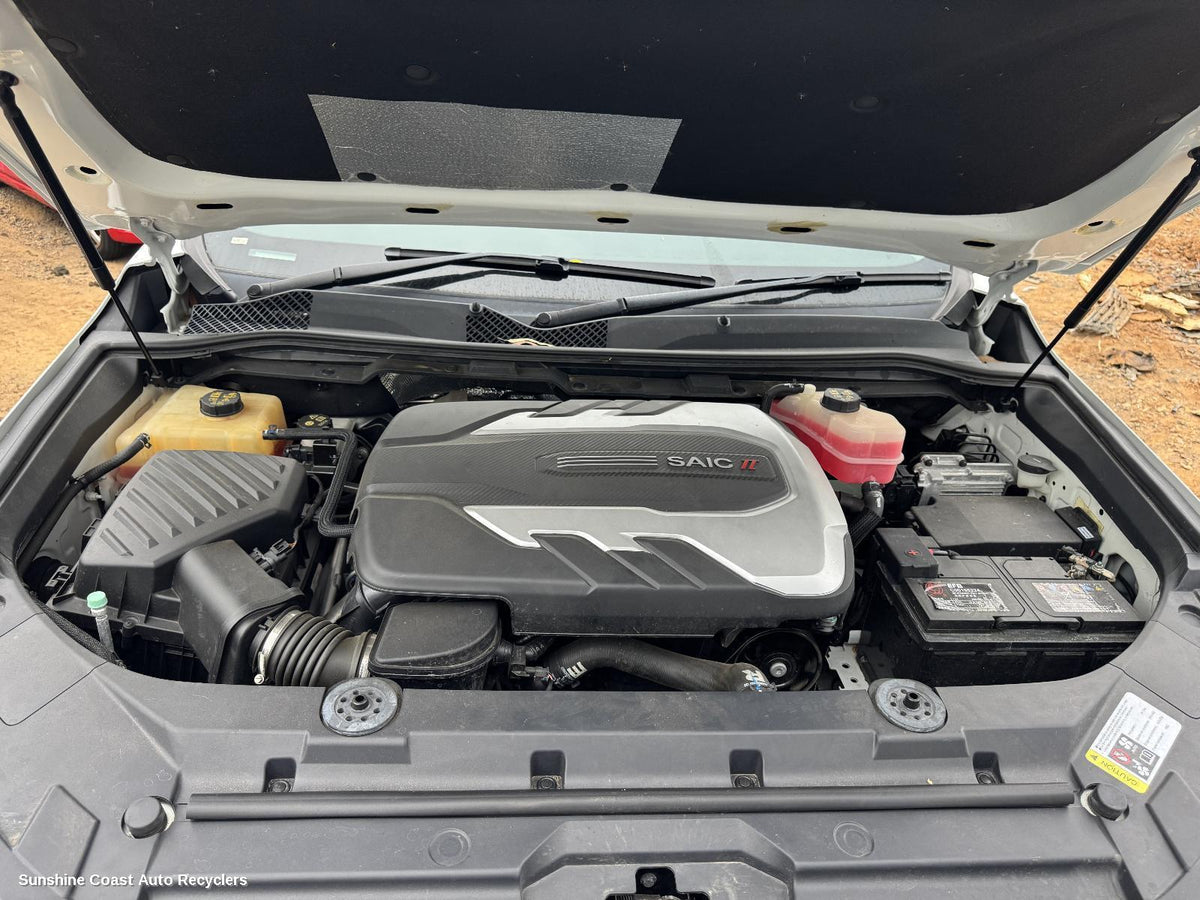 2020-2024 Ldv D90 Rear Diff Assembly