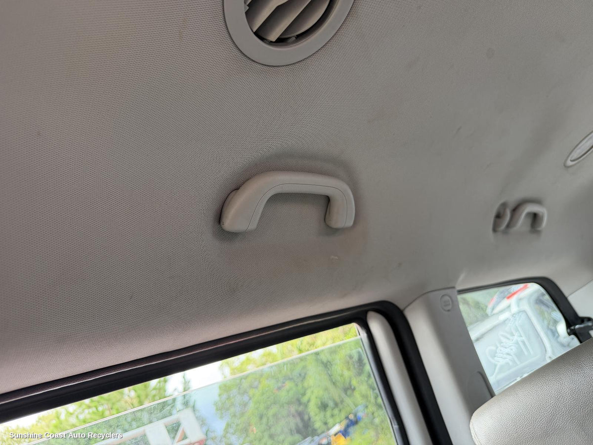 2006-2014 Kia Carnival/grand Carnival Grab Handle