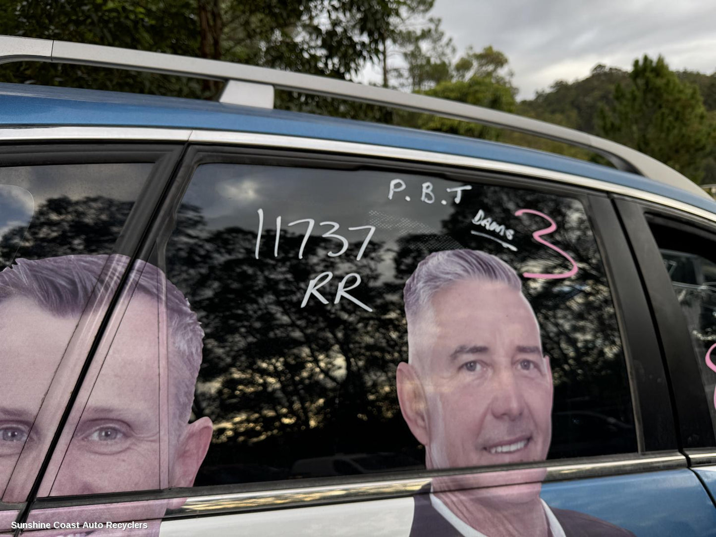 2013 Holden Captiva Right Rear Door Window