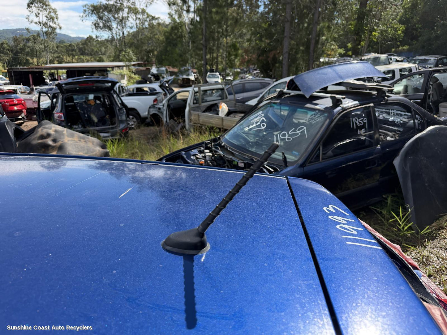 2011-2019 Hyundai Accent Antenna