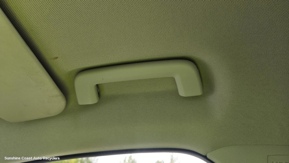 2011-2015 Ford Focus Grab Handle