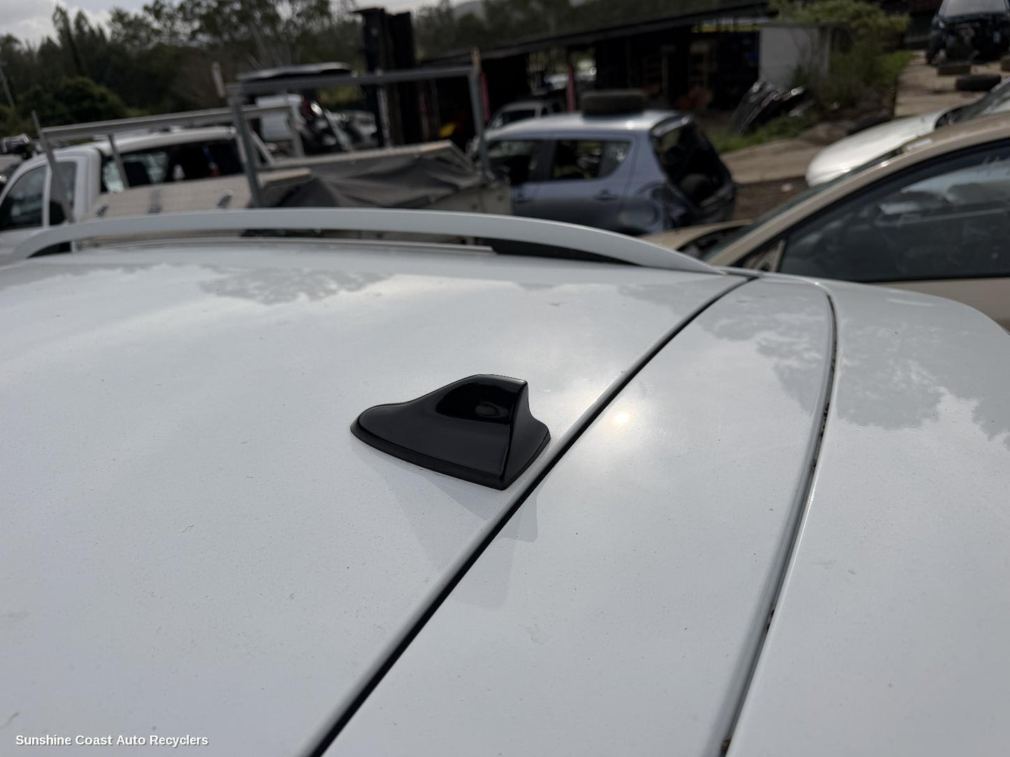2017-2025 Mg Zs Antenna