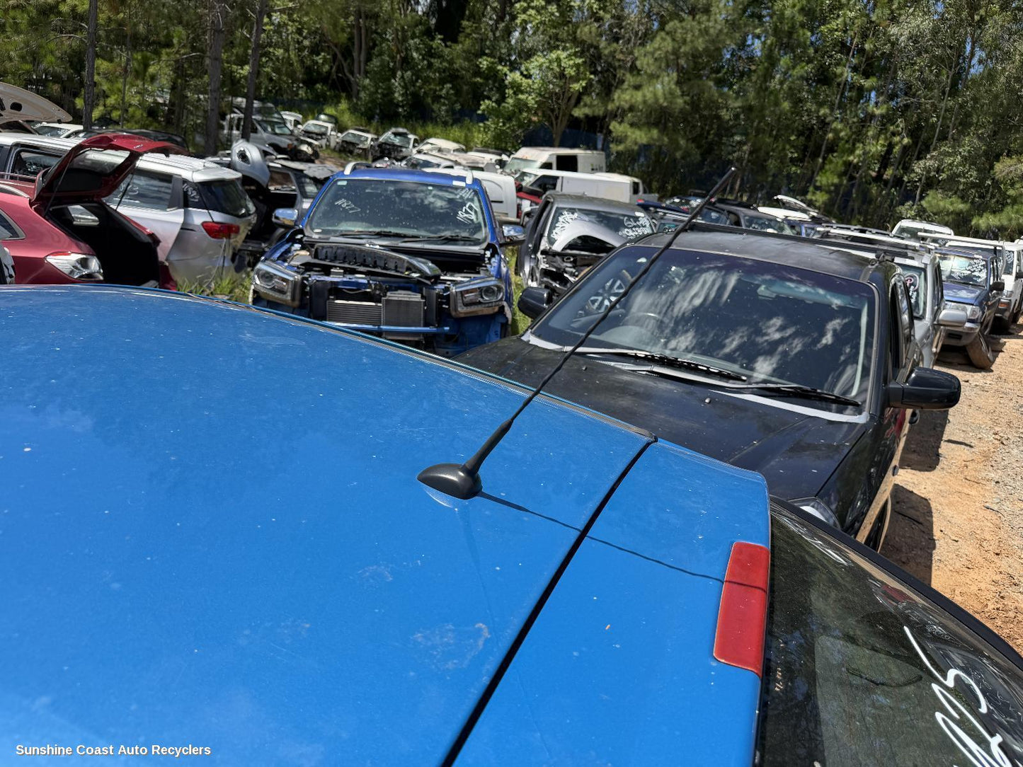 2011-2017 Holden Cruze Antenna