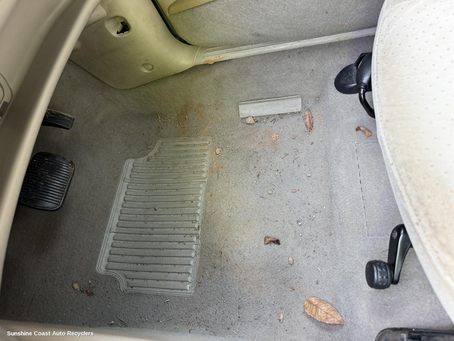 2001-2005 Ford Focus Carpet