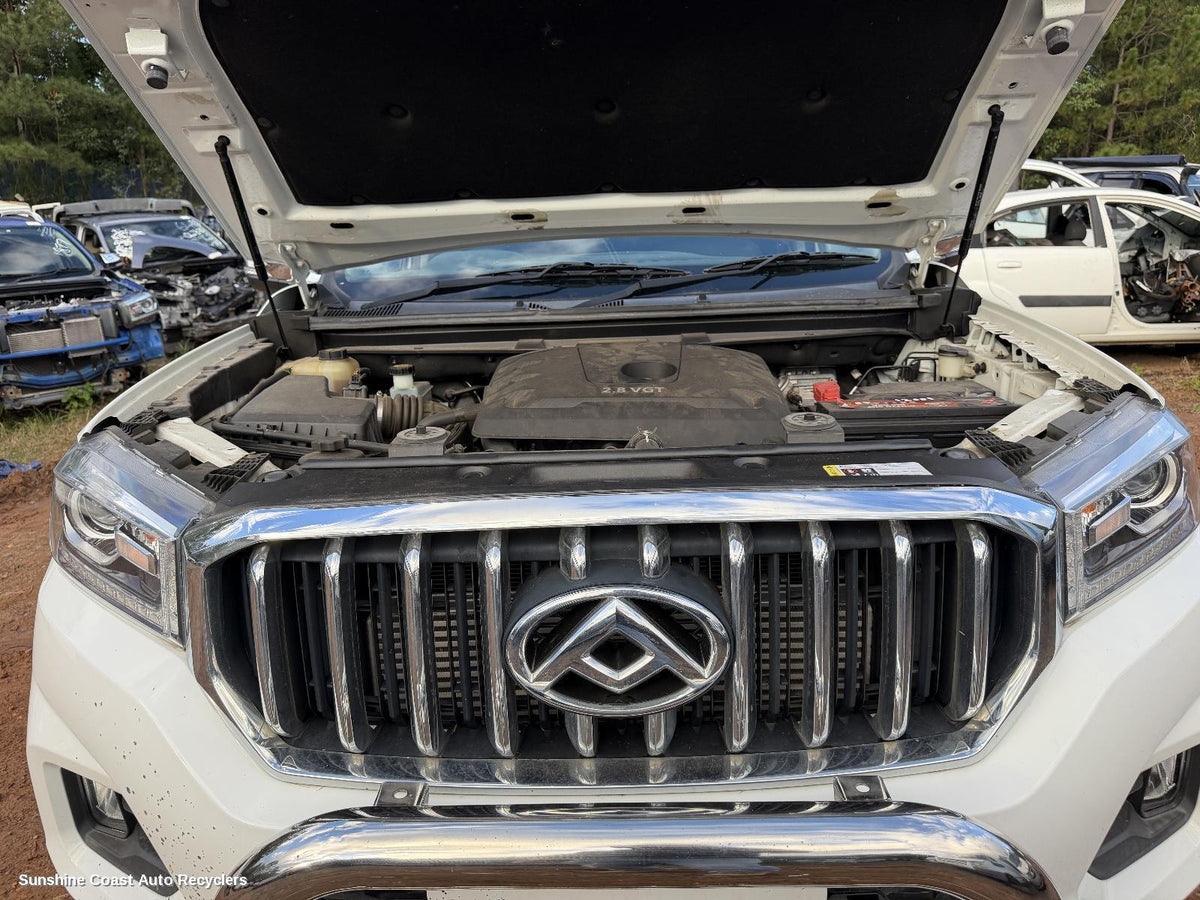 2017-2021 Ldv T60 Grille