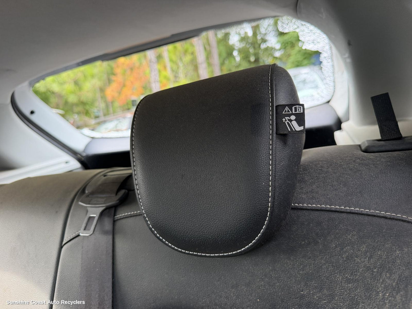 2017-2025 Mg Zs Headrest