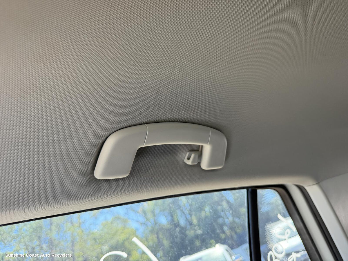 2012-2020 Volkswagen Golf Grab Handle