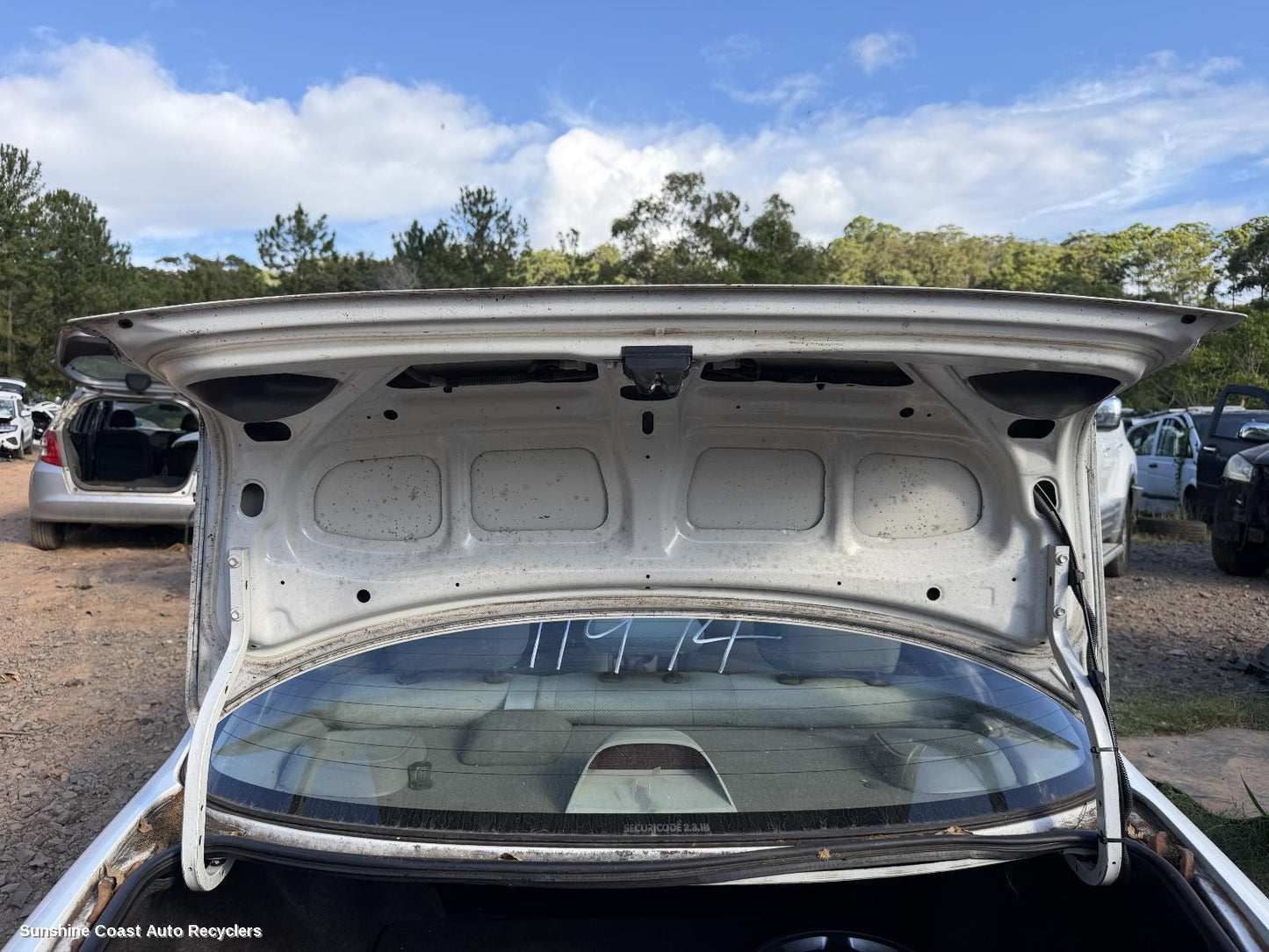1998-2001 Toyota Corolla Rear Tailgate Glass