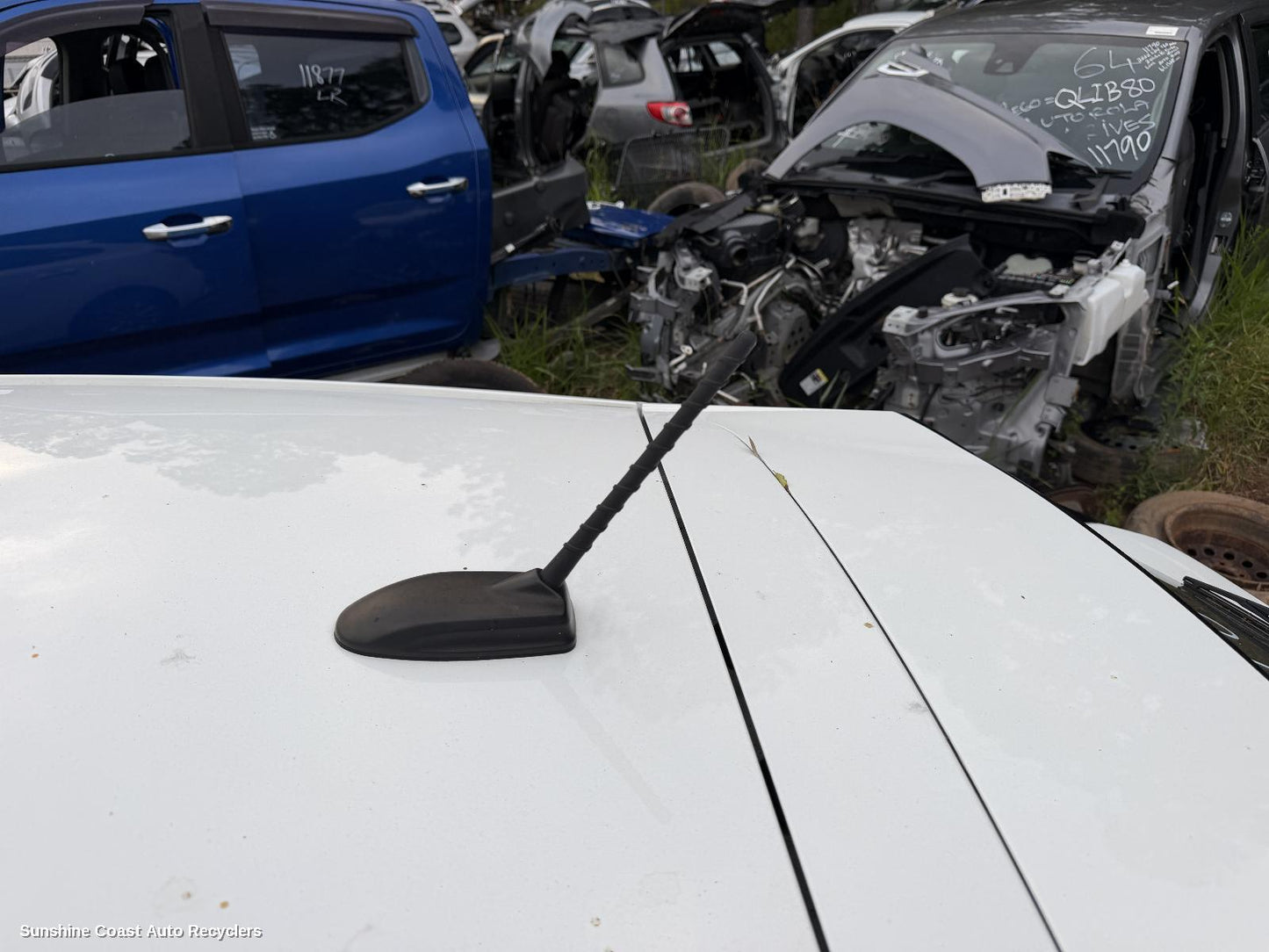2021-2024 Kia Cerato Antenna