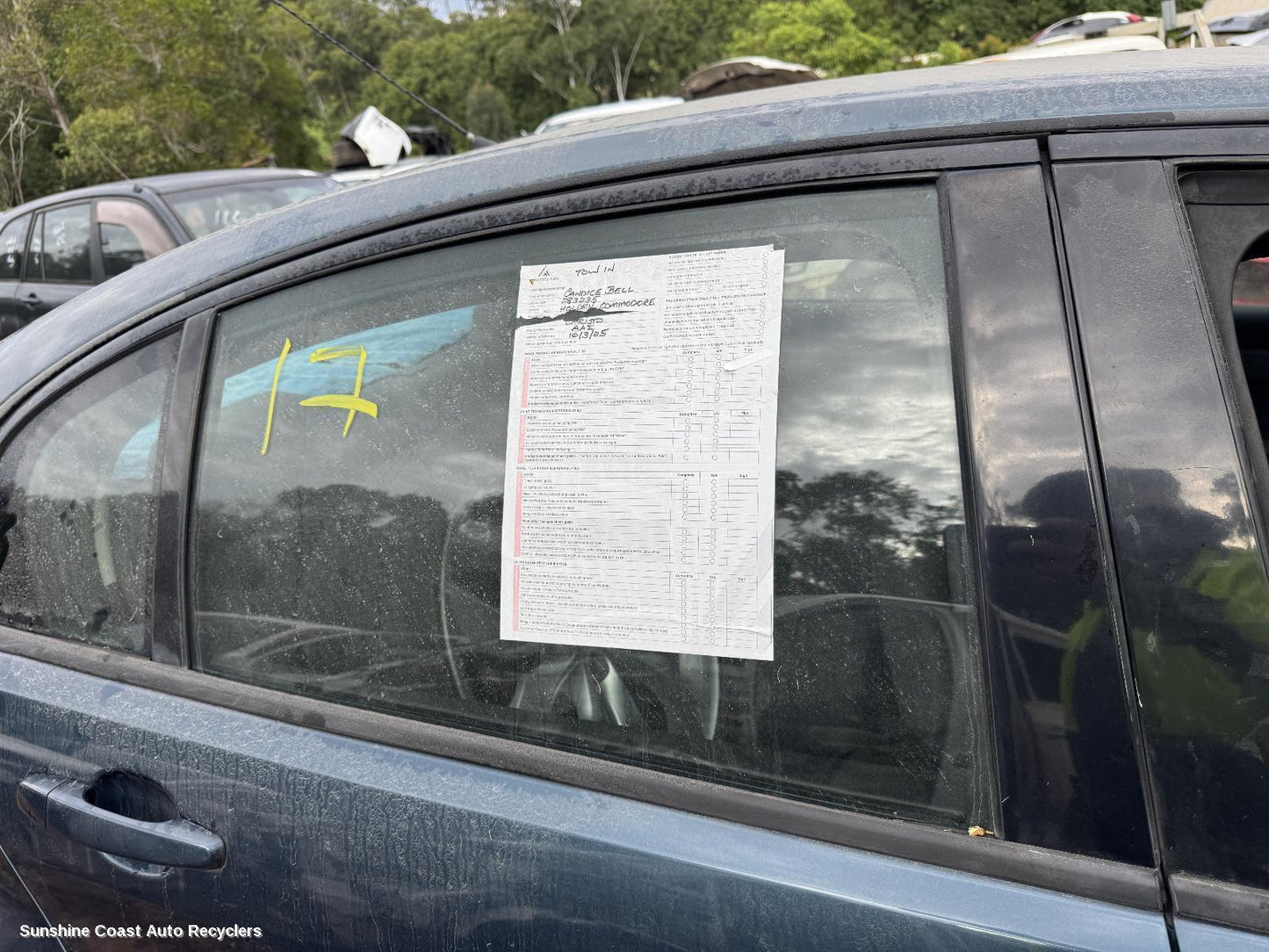 2008 Holden Commodore Right Rear Door Window
