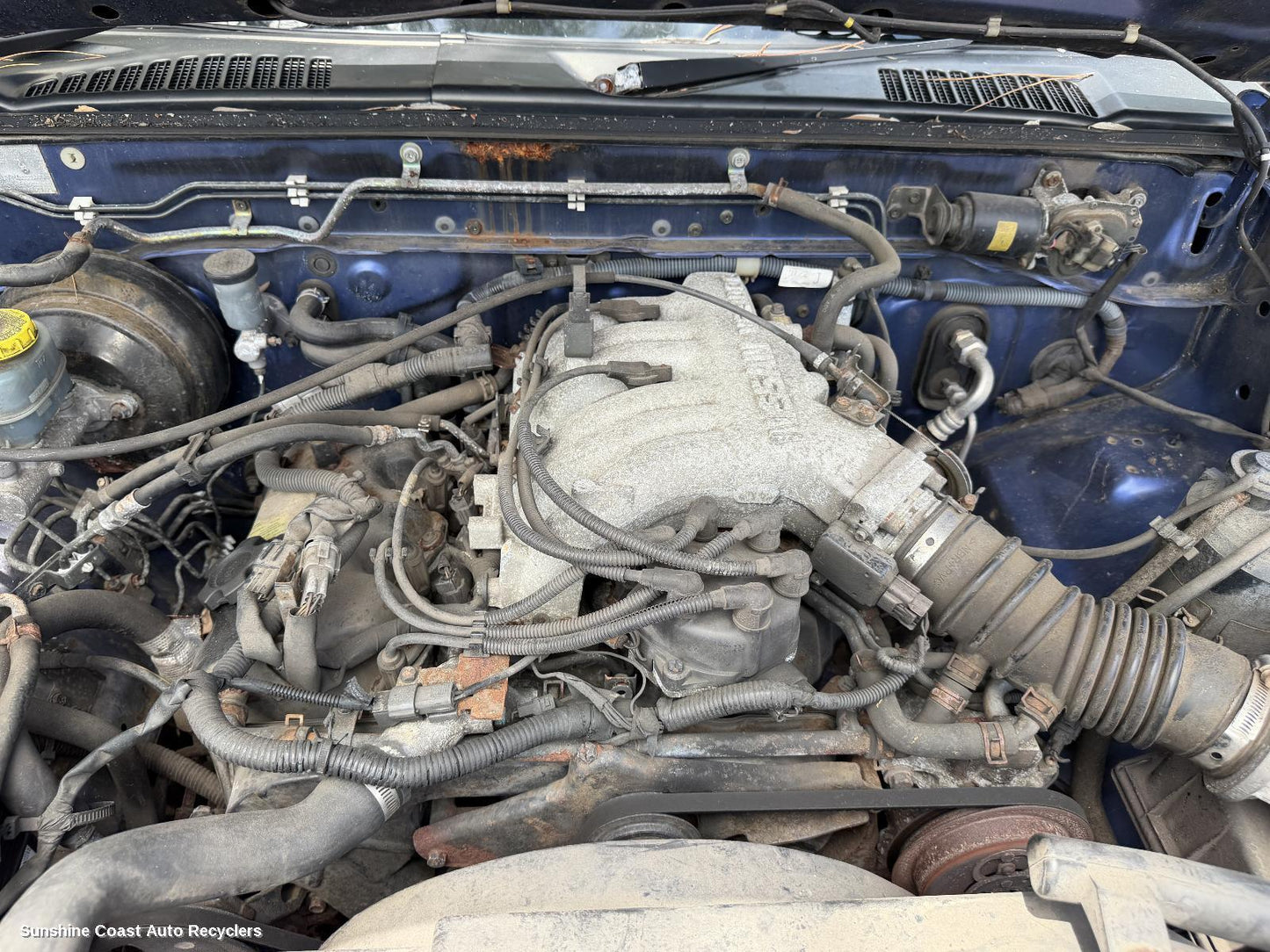 1997-2001 Nissan Navara Engine