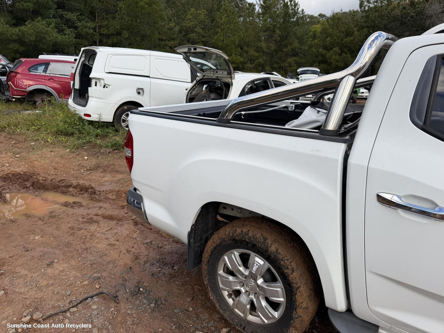 2017-2025 Ldv T60 Ute Back