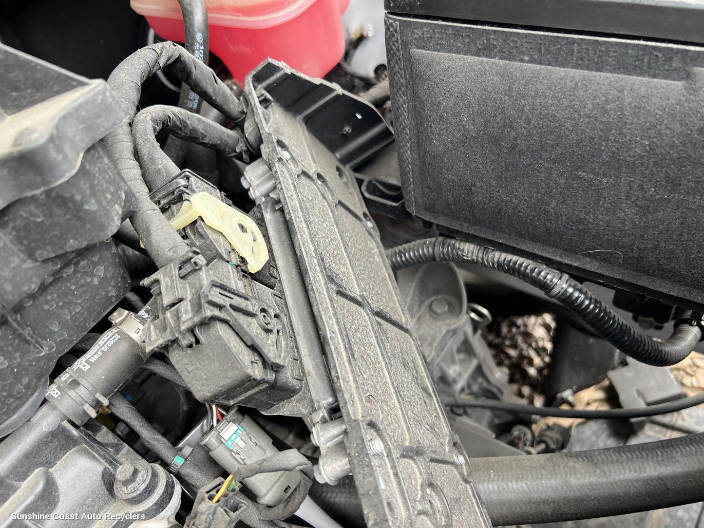 2017-2024 Mg Zs Ecu