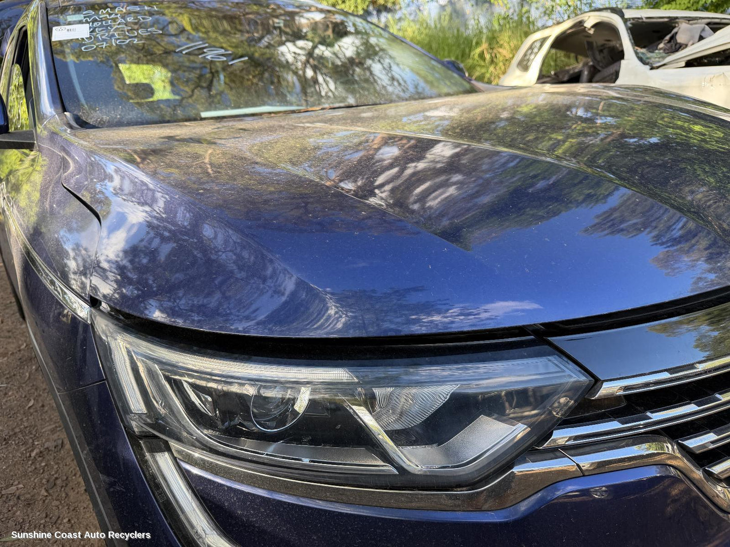 2016-2026 Renault Kaleos Grille