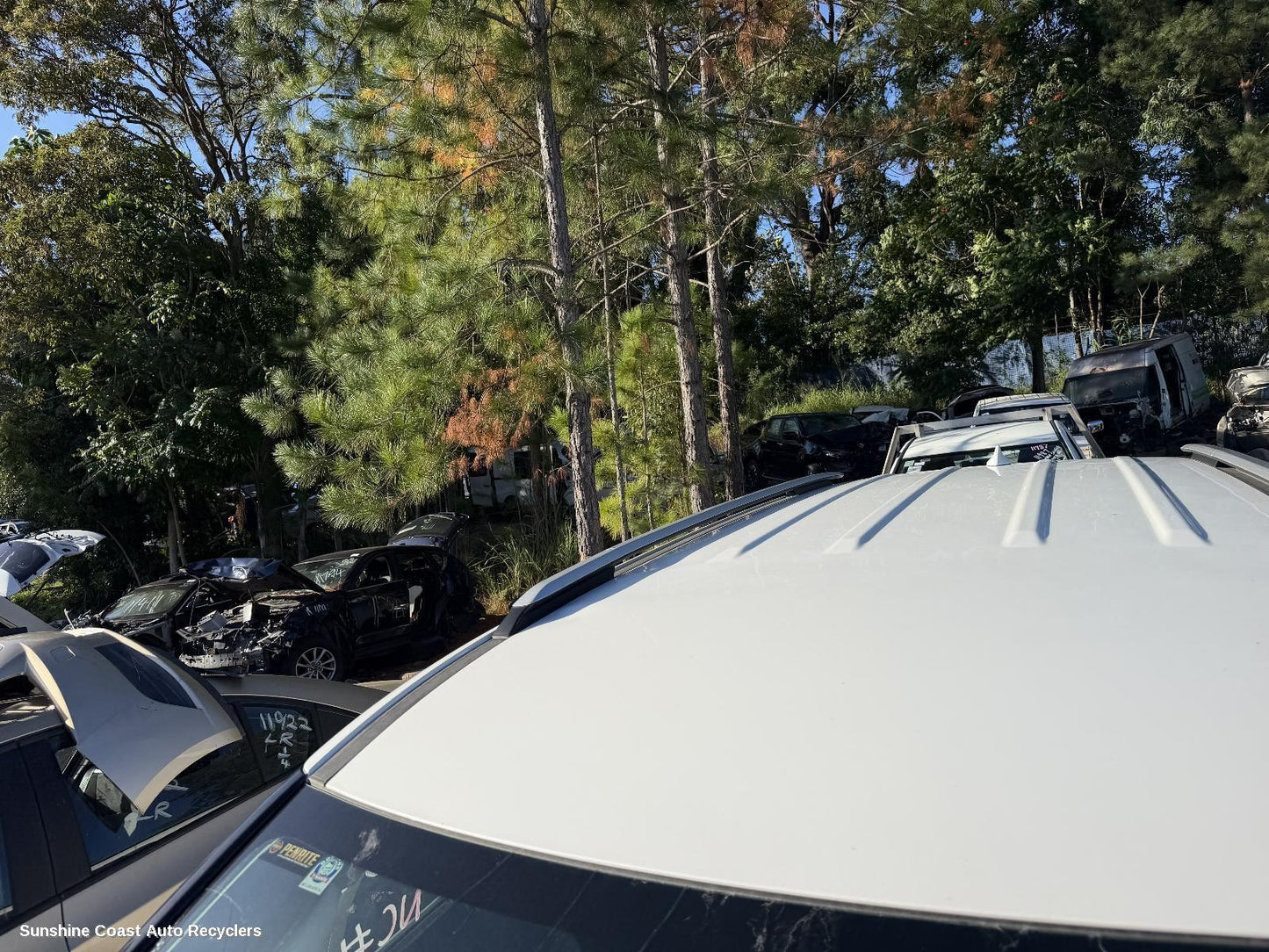 2020-2025 Kia Carnival/grand Carnival Roof Rack Bars