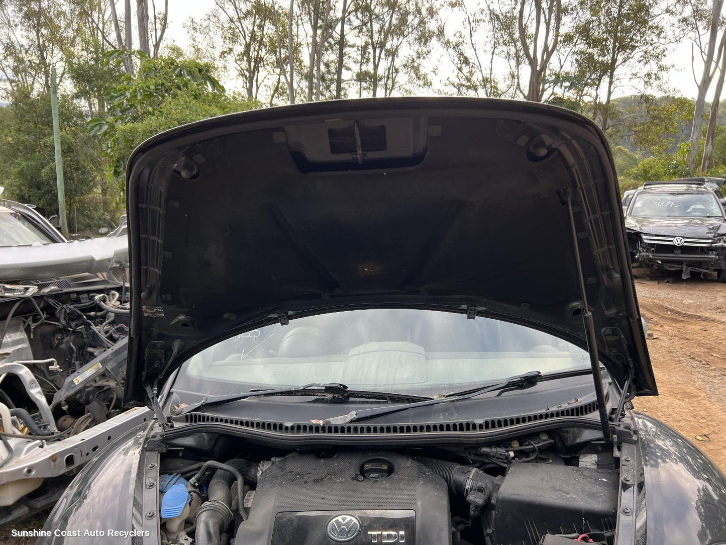 2010 Volkswagen Beetle Bonnet