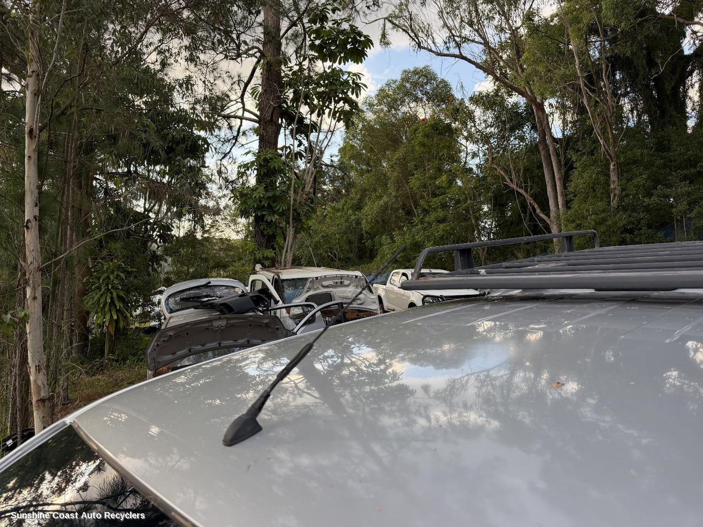 2005-2015 Nissan Navara Antenna
