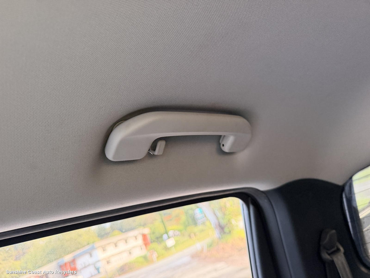 2017-2026 Ldv T60 Grab Handle