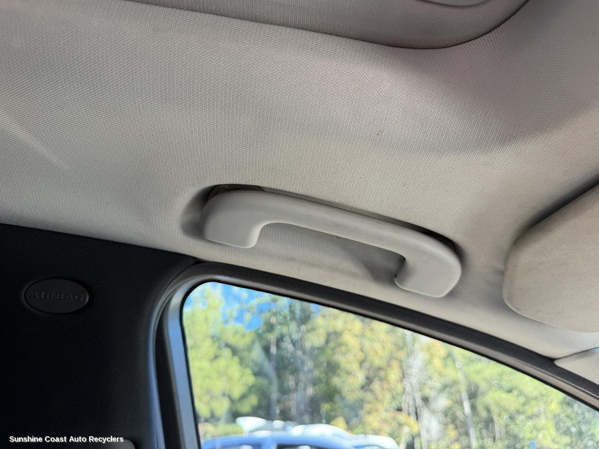 2006-2010 Mercedes R Class Grab Handle
